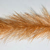 Translucy Fly Brush 5" - Sale