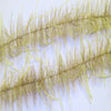 Lively Leg Crustacean Brush 1"