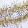 Lively Leg Crustacean Brush 1/2"