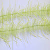 Lively Leg Crustacean Brush 1"